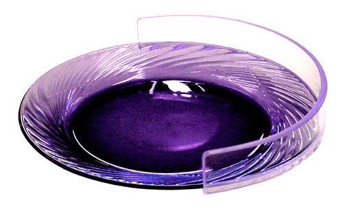 Plate Guard Clear Large